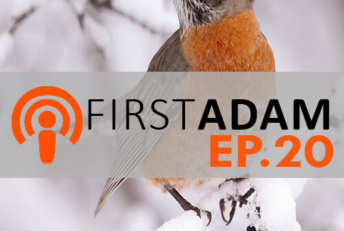 FirstAdam EP. 20 Winter’s Death