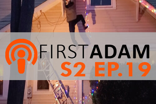 FirstAdam S2 EP. 19  Lights…